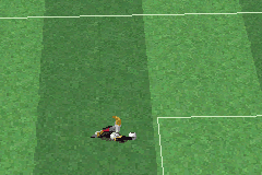 2006 Real Soccer 3D 13
