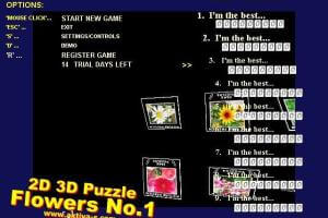 2D 3D Puzzle Flowers No1 abandonware