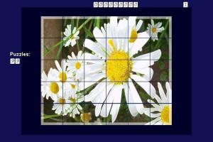 2D 3D Puzzle Flowers No1 2