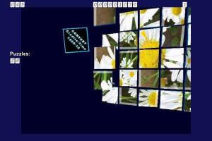 2D 3D Puzzle Flowers No1 3