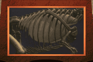 dinosaur adventure 3d torrwnt dinosaur adventure 3d torrwnt