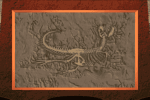 dinosaur adventure 3d download 1996