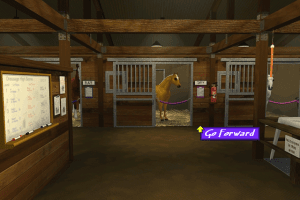 3-Day Eventing: The Ultimate Riding Adventure 1