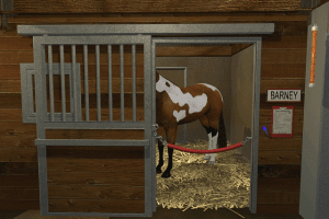 3-Day Eventing: The Ultimate Riding Adventure 2