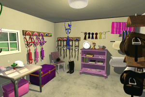 3-Day Eventing: The Ultimate Riding Adventure 3