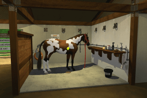 3-Day Eventing: The Ultimate Riding Adventure 5