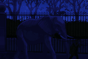 3 Days: Zoo Mystery 4