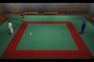 3D Judo Fighting 3