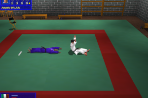 3D Judo Fighting 6