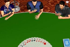 3D Kartenspiele Deluxe: Rommé 2