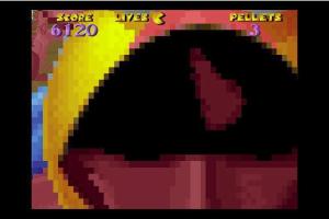 3D Ms. Maze: Tropical Adventures 5