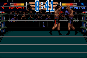 3D World Boxing 8