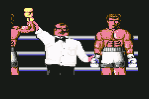 3D World Boxing 13