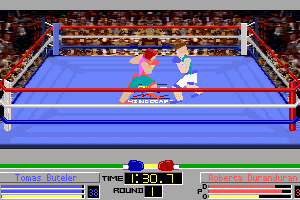 4-D Boxing 9