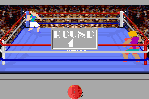 4-D Boxing 5