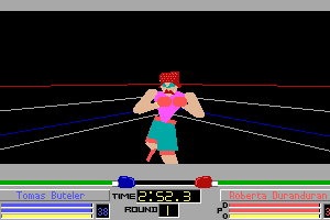 4-D Boxing 6