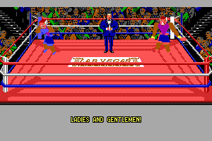 4-D Boxing 13