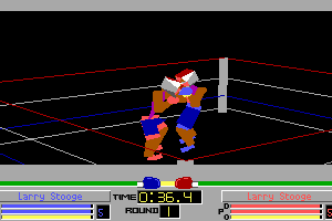 4-D Boxing 19