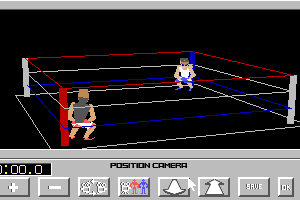 4-D Boxing 11