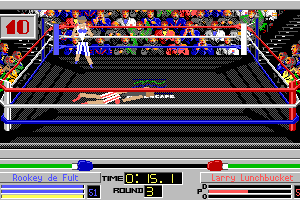 4-D Boxing 12