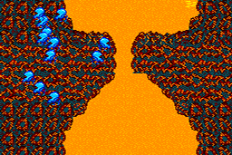 4-D Warriors 7