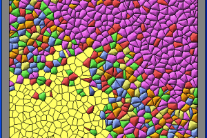 6 Colors 5