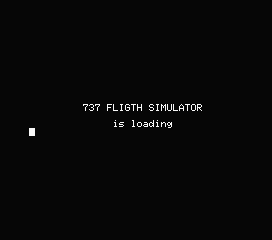 737 Flight Simulator 0