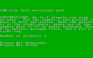 9-Hole Miniature Golf 0