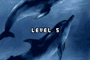 Absolute Puzzle 7