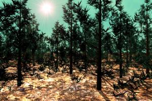 Acalius: Enemies of the Wild 8