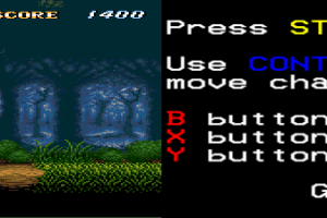 ActRaiser 9