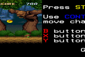 ActRaiser 5