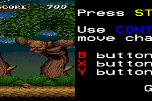 ActRaiser 7