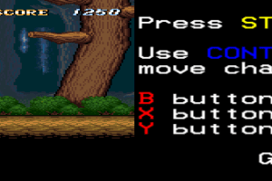 ActRaiser 6