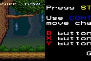 ActRaiser 8