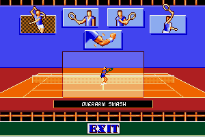 Advantage Tennis abandonware