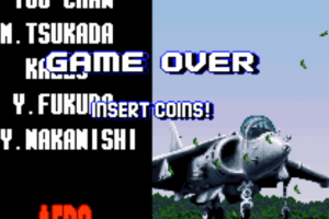 Aero Fighters 6