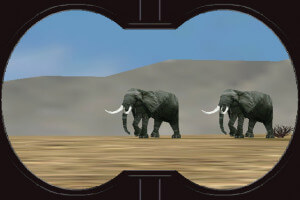 African Safari Trophy Hunter 3D 1