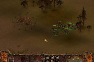 Against Rome 7