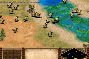 Age of Empires II: The Age of Kings 11