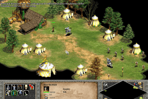 Age of Empires II: The Age of Kings 12