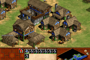 Age of Empires II: The Age of Kings 14