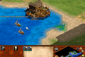 Age of Empires II: The Age of Kings 15