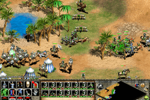 Age of Empires II: The Age of Kings 19