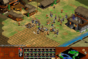 Age of Empires II: The Age of Kings 21