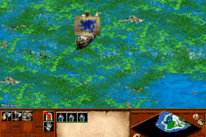 Age of Empires II: The Age of Kings 22