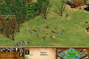 Age of Empires II: The Age of Kings 23