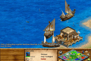 Age of Empires II: The Age of Kings 24