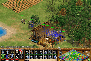Age of Empires II: The Age of Kings 25