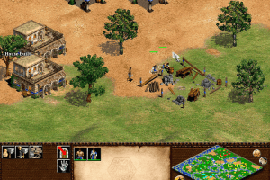 Age of Empires II: The Age of Kings 27